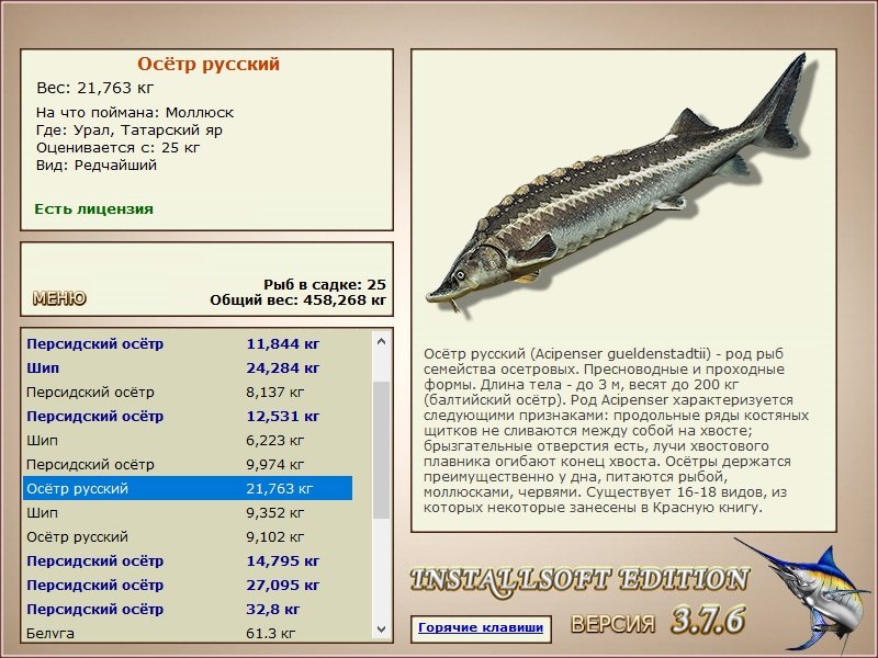 Татарский яр 