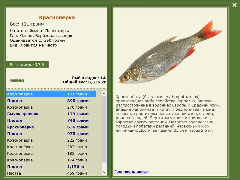 турниры • РУССКАЯ РЫБАЛКА