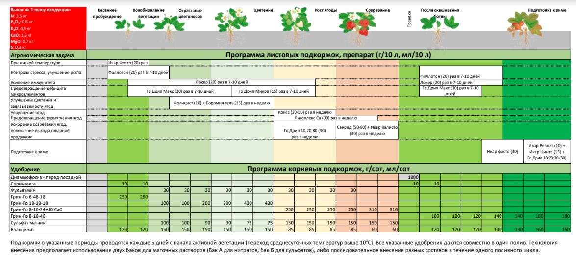 Схема кормления клубники минеральными удобрениями