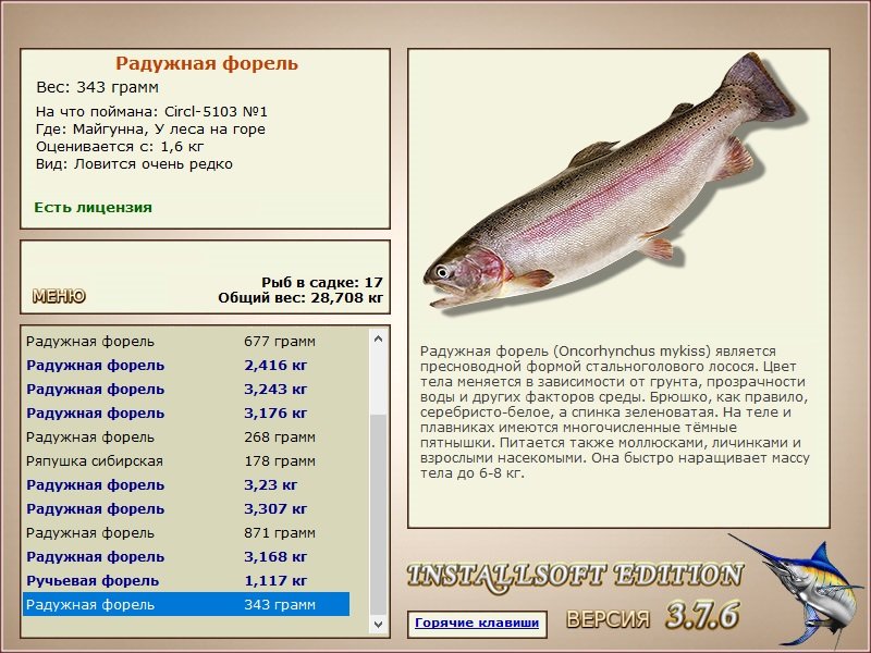 У леса на горе 