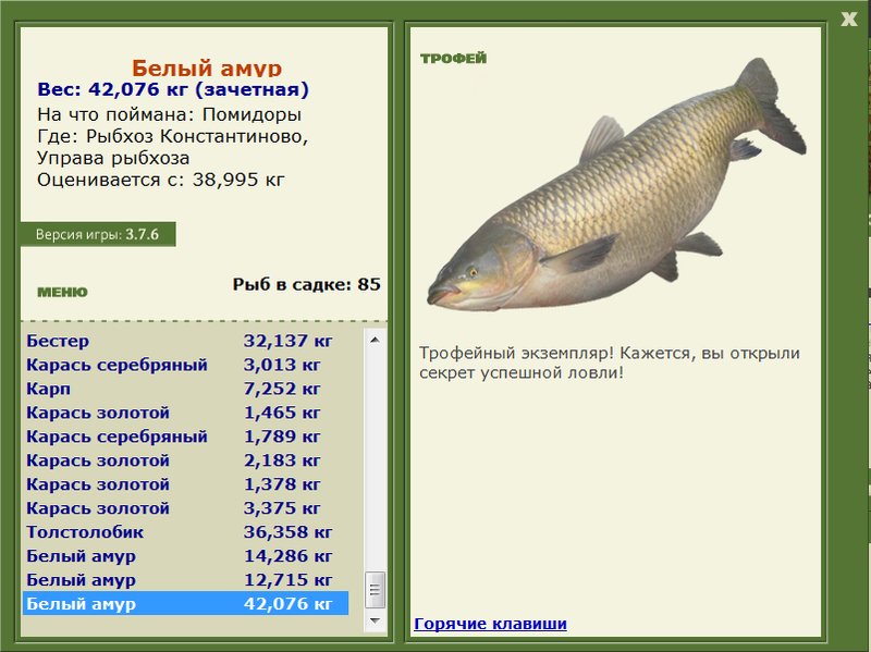 Управа рыбхоза 