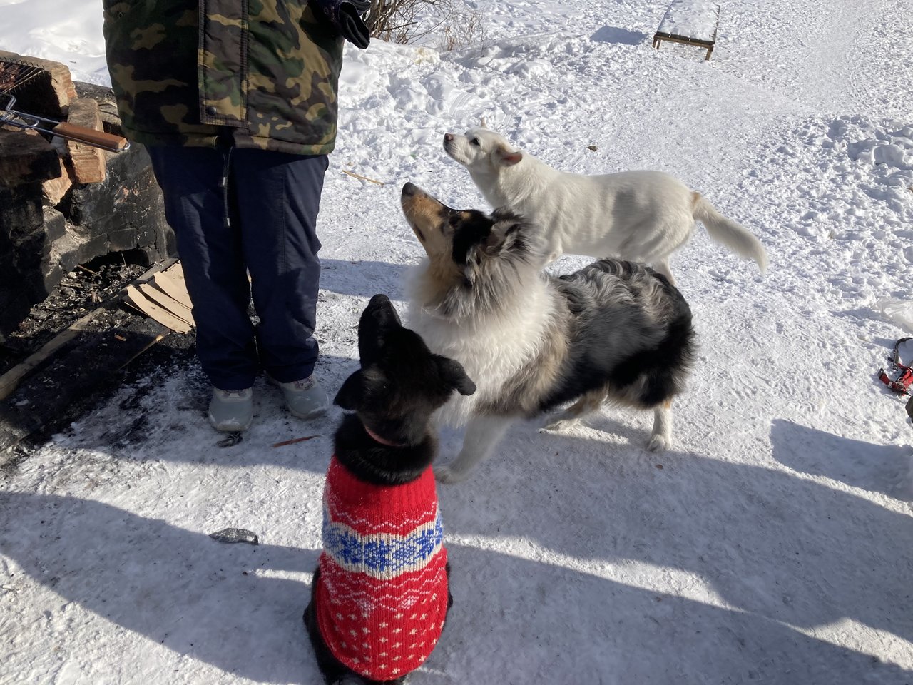  Новогоднее чудо