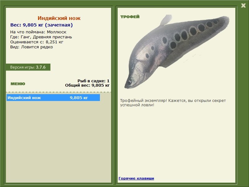турниры • РУССКАЯ РЫБАЛКА