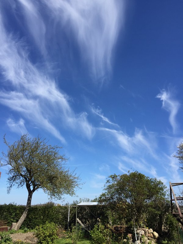  Страница 100 - Форум 