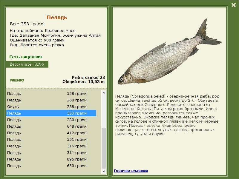 турниры • РУССКАЯ РЫБАЛКА