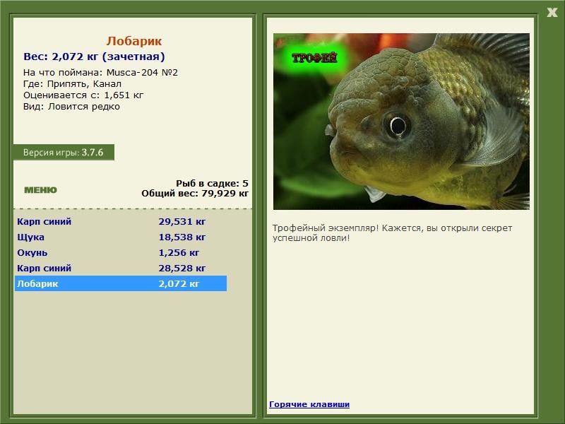 турниры • РУССКАЯ РЫБАЛКА