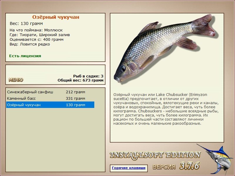 турниры • РУССКАЯ РЫБАЛКА