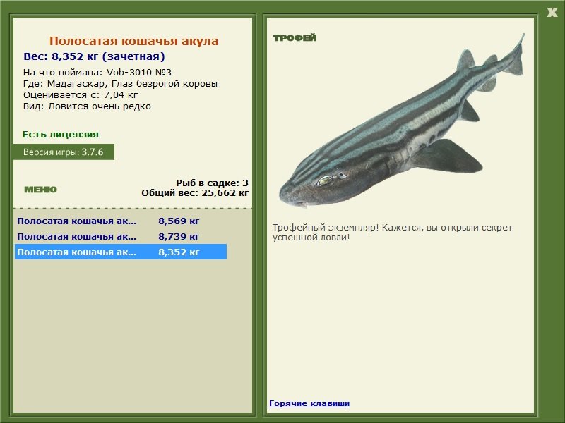 Полосатая кошачья акула 