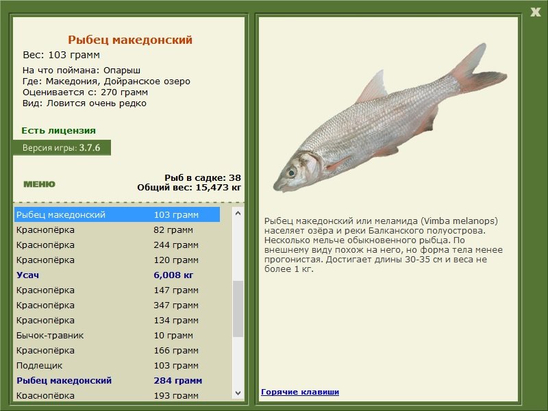 турниры • РУССКАЯ РЫБАЛКА