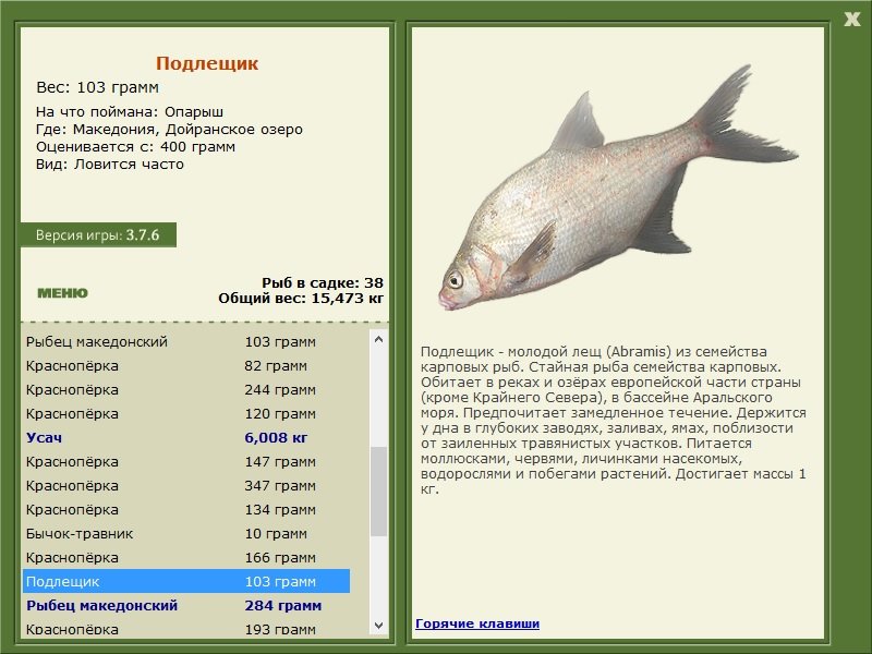 турниры • РУССКАЯ РЫБАЛКА