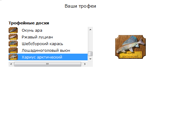 турниры • РУССКАЯ РЫБАЛКА