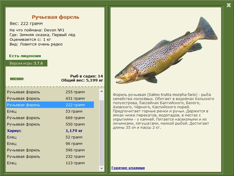 турниры • РУССКАЯ РЫБАЛКА