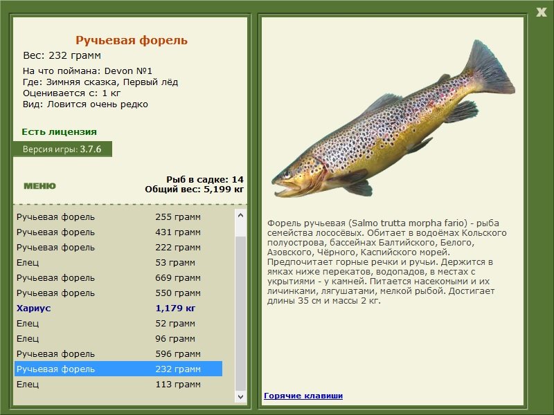 турниры • РУССКАЯ РЫБАЛКА