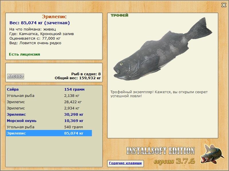 Кроноцкий залив 