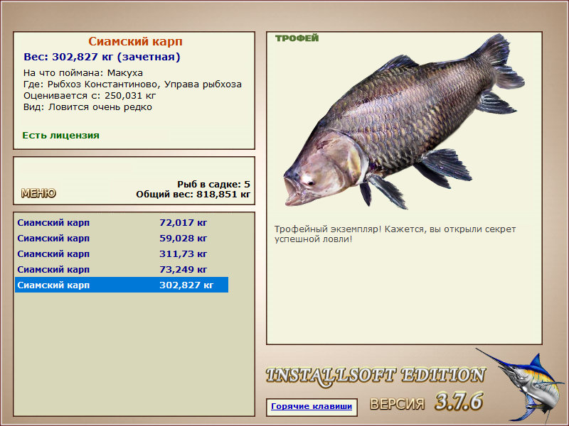 Сиамский карп 