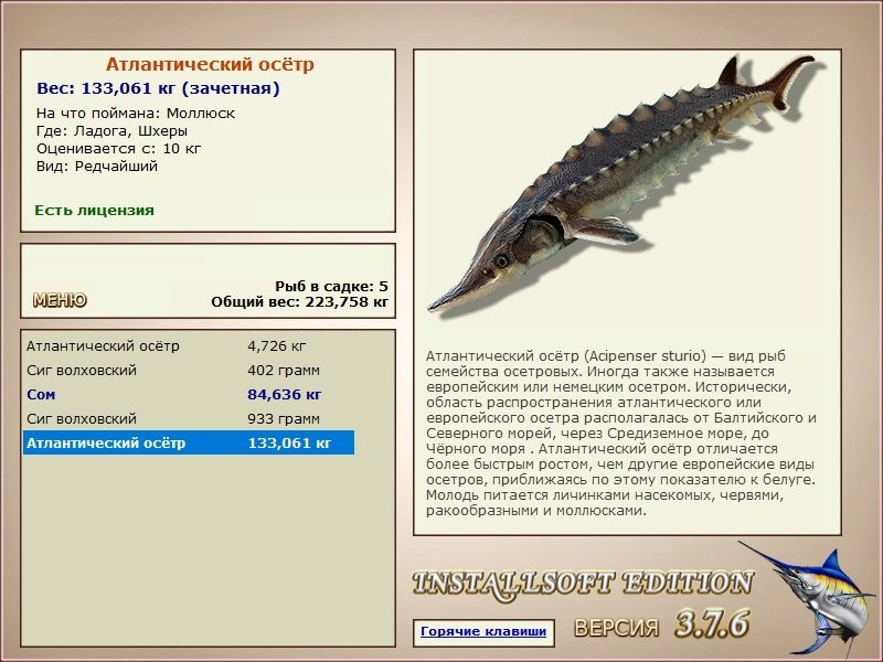 Шхеры 