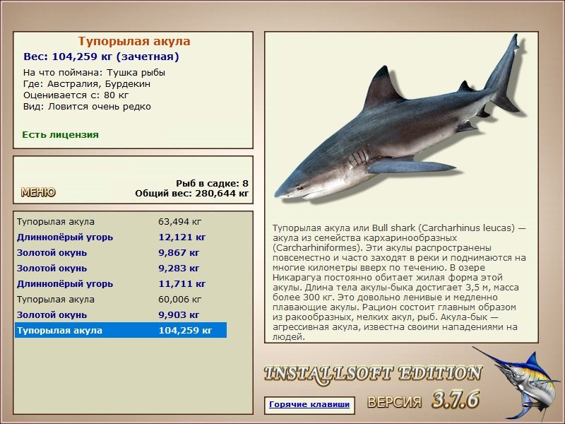 Бурдекин 
