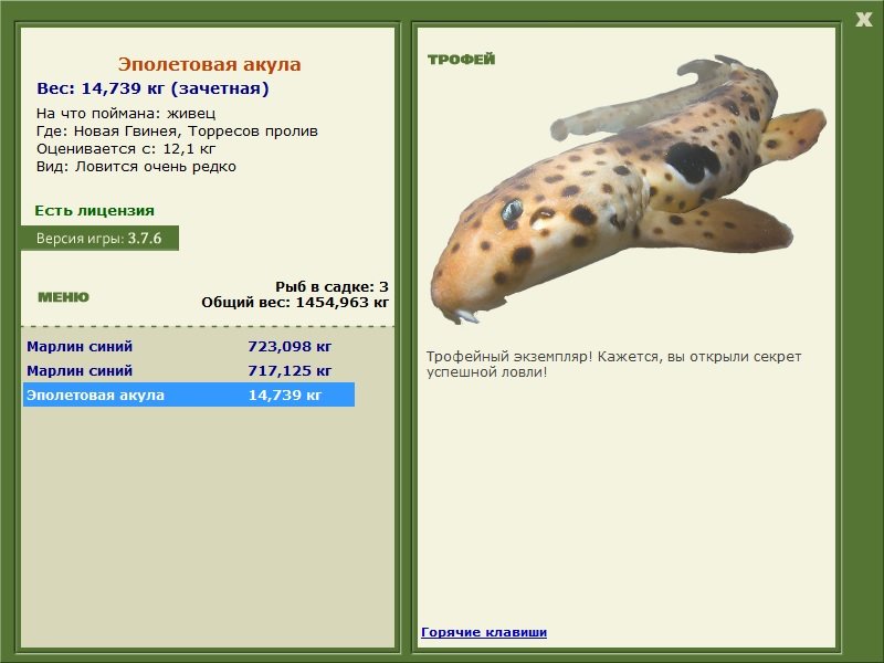 Торресов пролив 