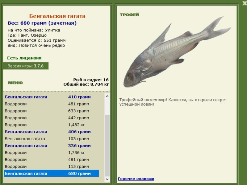 Бенгальская гагата 