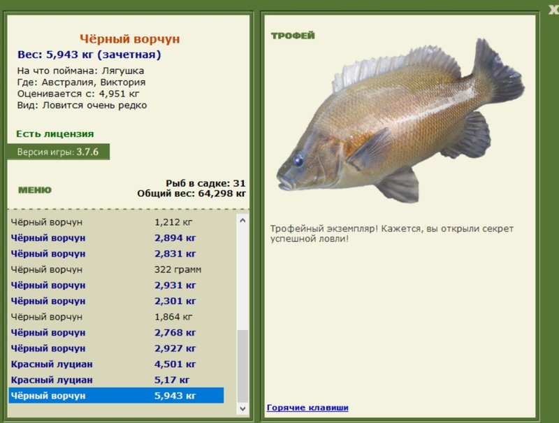Чёрный ворчун 