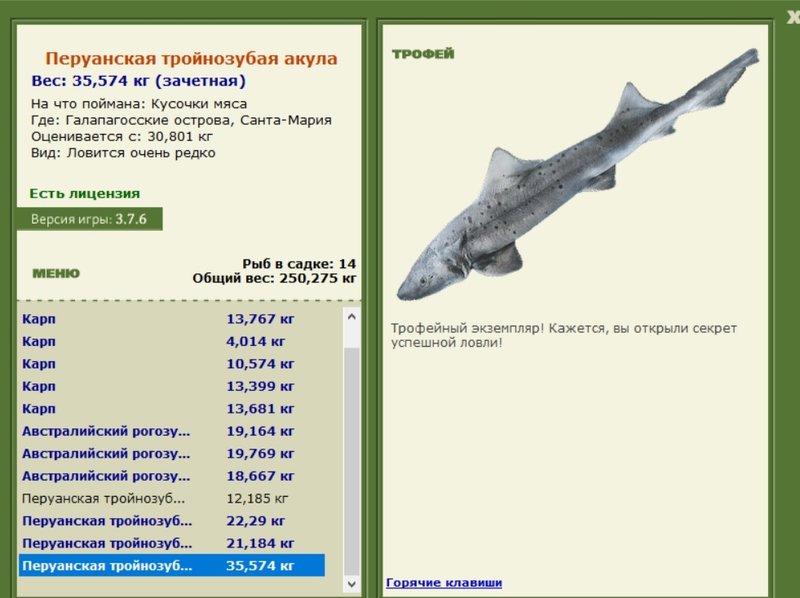Перуанская тройнозубая акула 