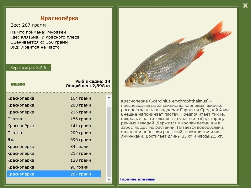 У красного плёса 