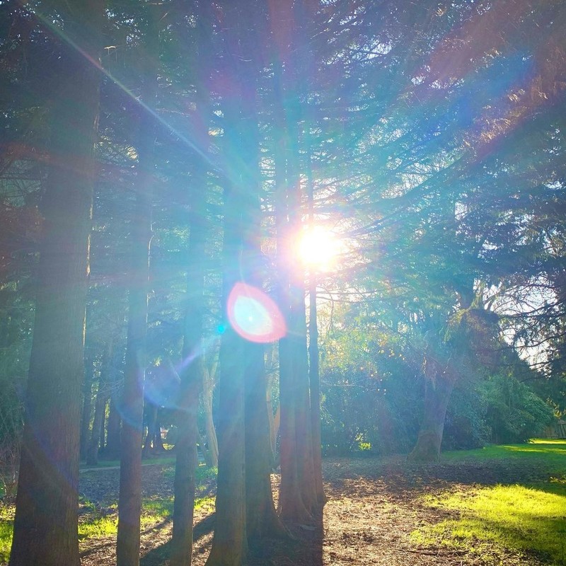  Страница 102 - Форум 