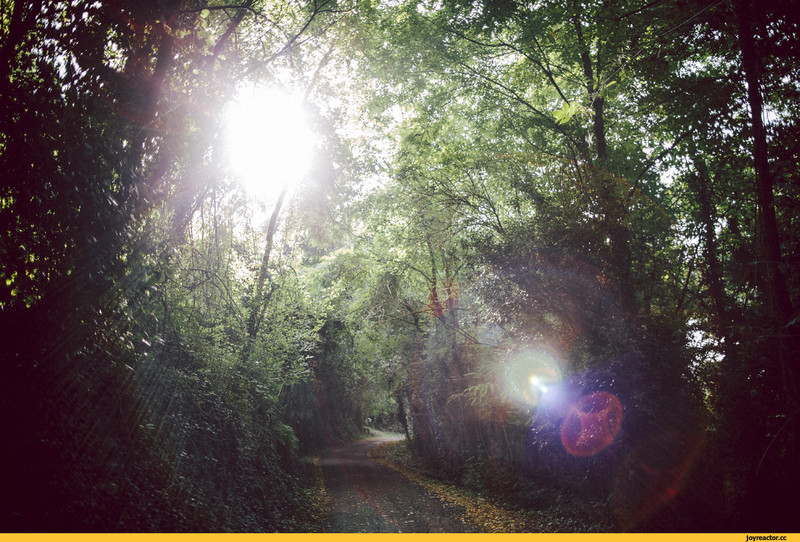  Страница 102 - Форум 