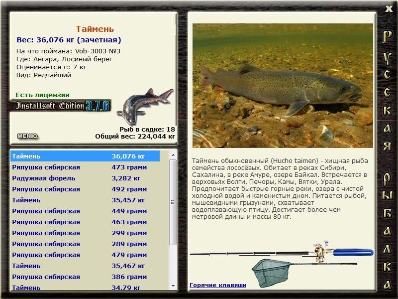 Лосиный берег 