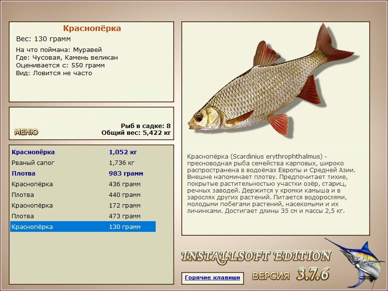 турниры • РУССКАЯ РЫБАЛКА