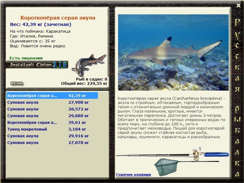 Римини 