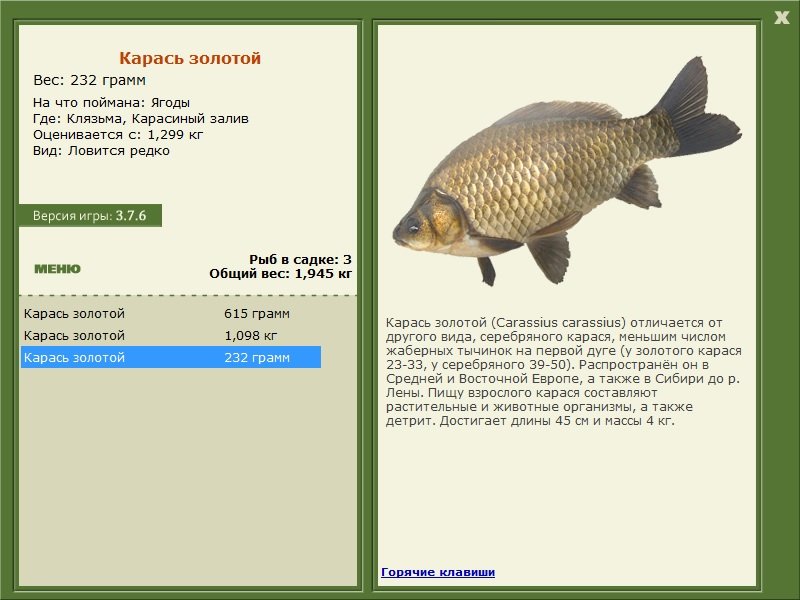 турниры • РУССКАЯ РЫБАЛКА