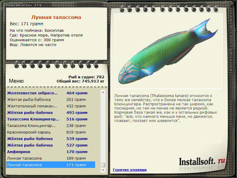 турниры • РУССКАЯ РЫБАЛКА