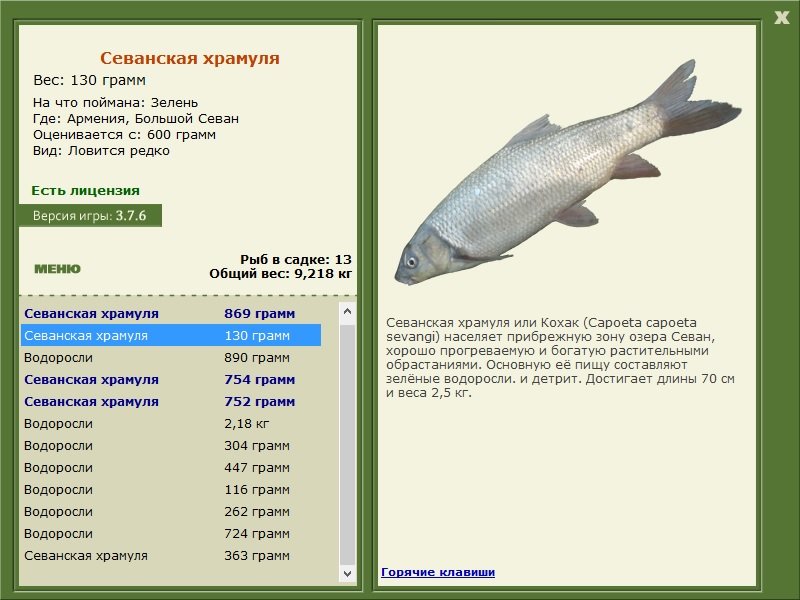 турниры • РУССКАЯ РЫБАЛКА