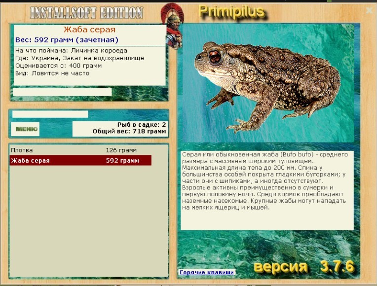 Жаба серая 