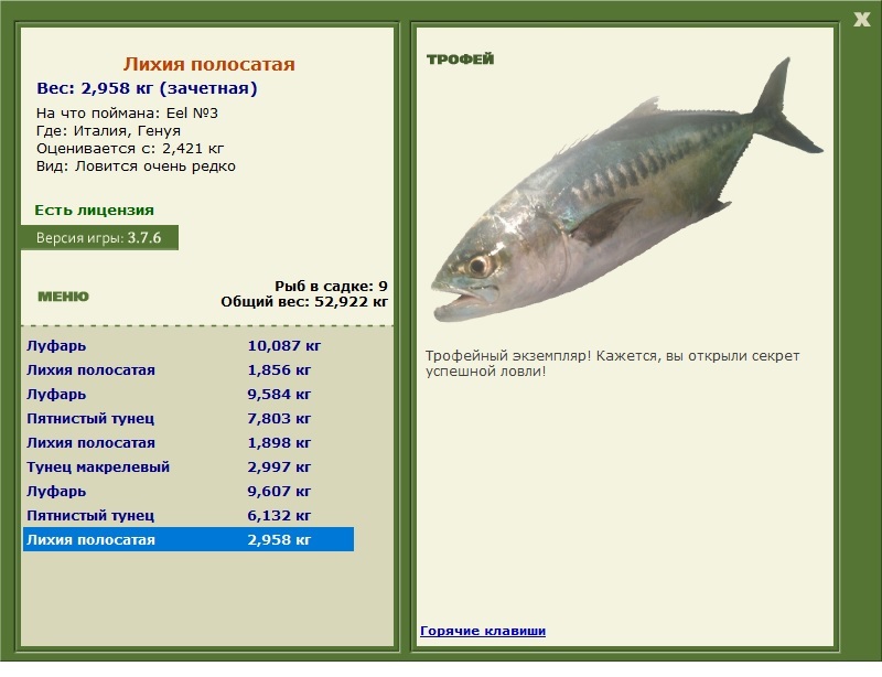 Eel 