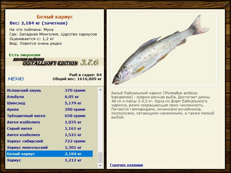Царство хариусов 