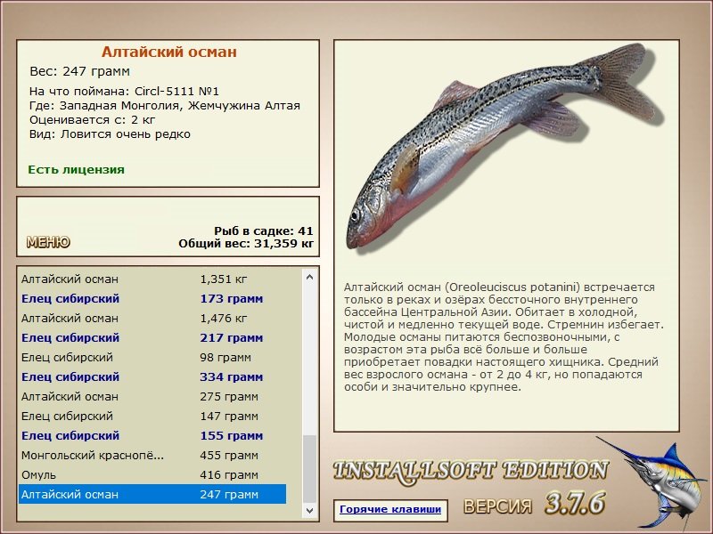 Жемчужина Алтая 