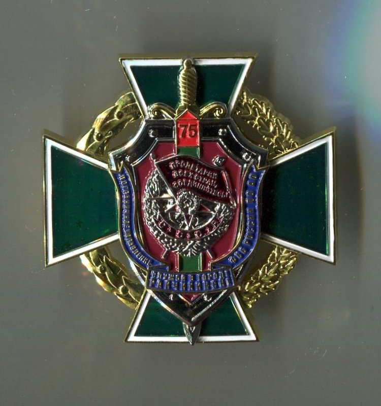  Райчихинск в памятных знаках, значках и медалях