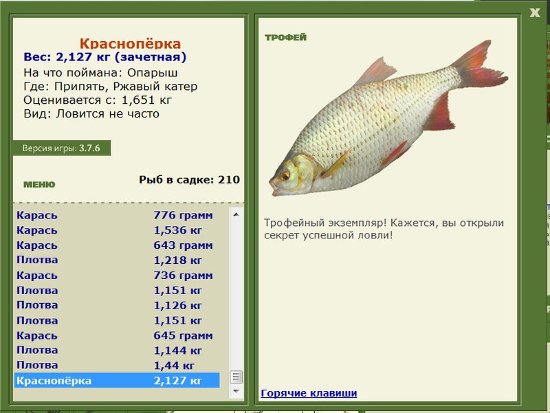 Ржавый катер 
