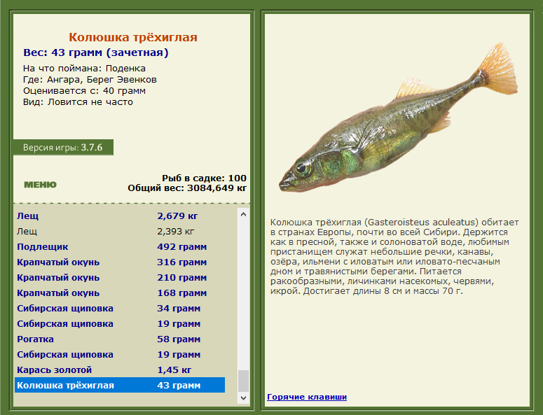 РУССКАЯ РЫБАЛКА Installsoft Edition 
