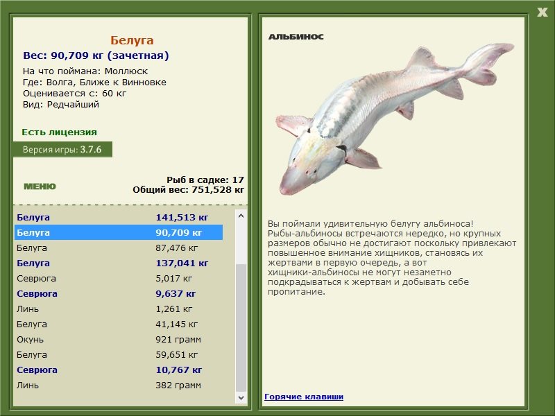 Моллюск 