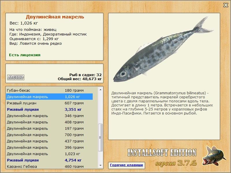 Декоративный мостик 