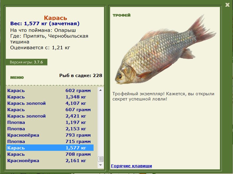 Чернобыльская тишина 