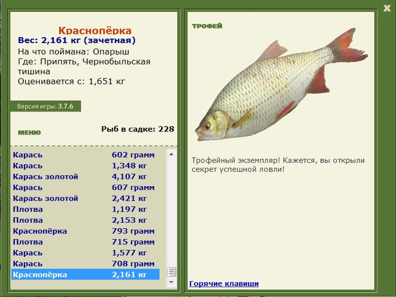 Чернобыльская тишина 