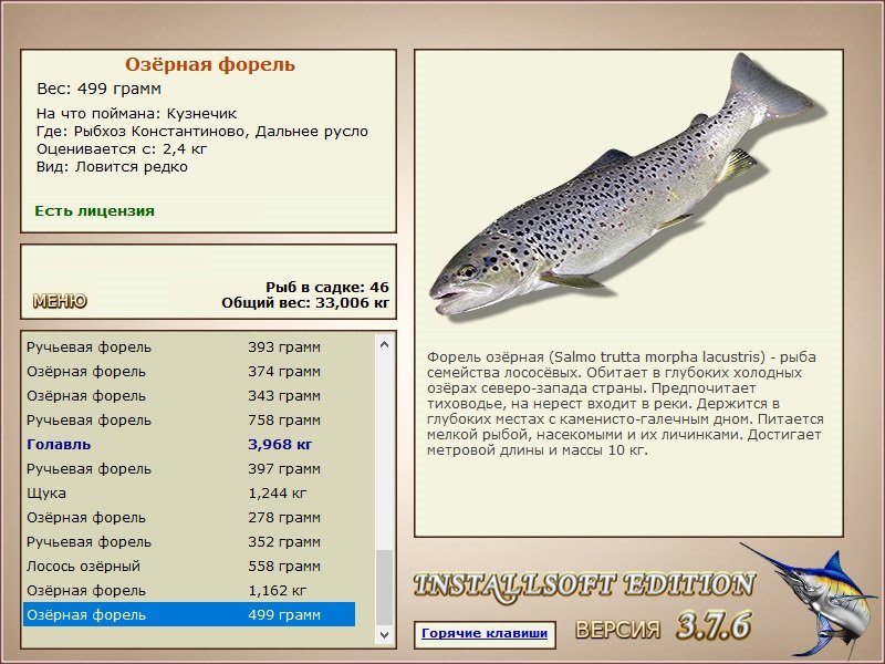 Дальнее русло 