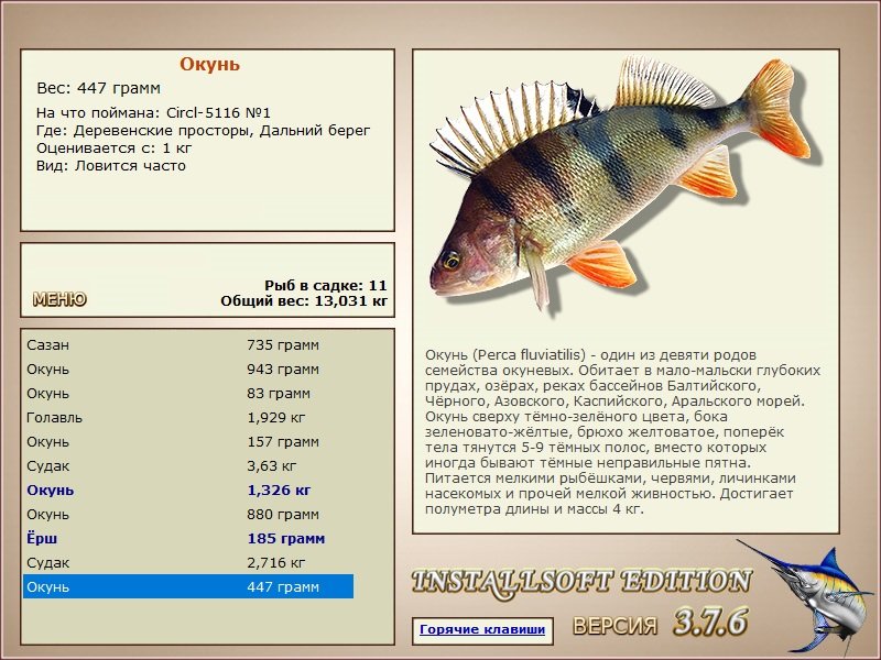 Дальний берег 