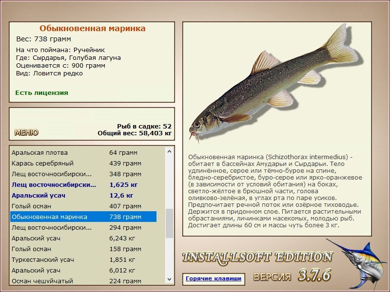 Сырдарья 