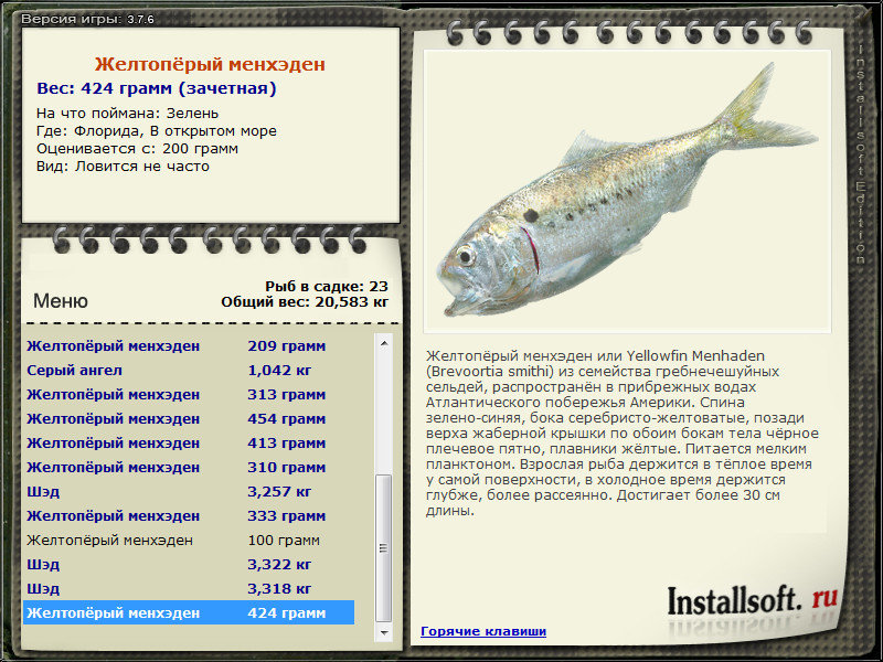 турниры • РУССКАЯ РЫБАЛКА
