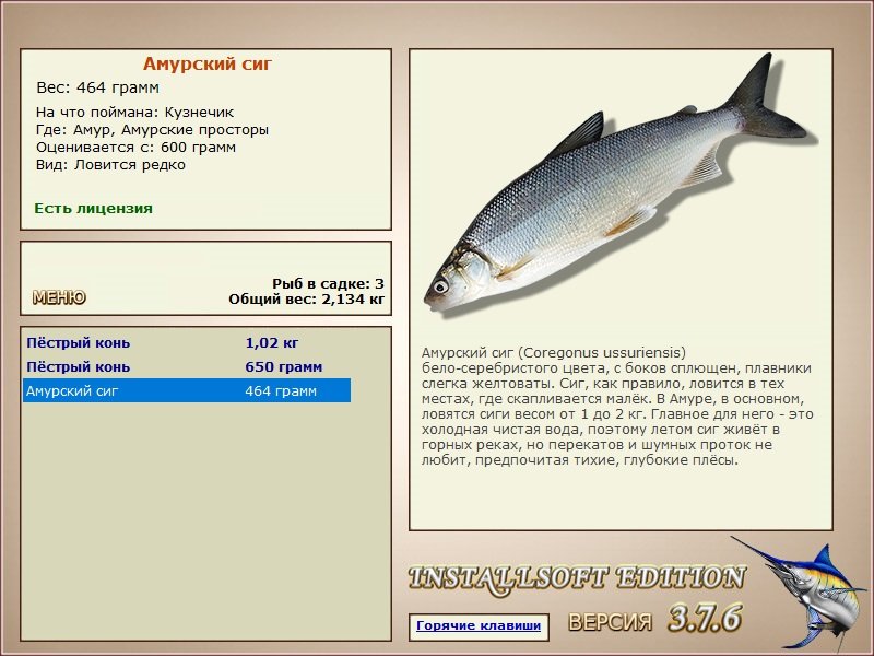 Амурские просторы 